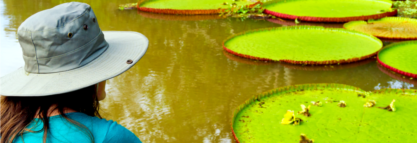 3 motivos para você se candidatar ao WTM Latin America Responsible Tourism Awards